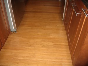 Kitchen hallway with Bamboo flooring